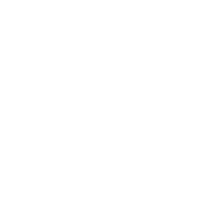 PAUWELS